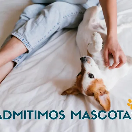 Casa O Curruncho 3000 * Vilagarcía de Arousa