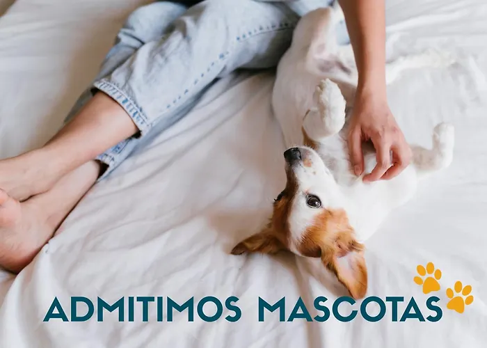 Casa O Curruncho 3000 * Vilagarcia de Arousa